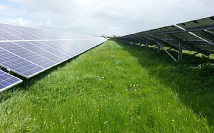Watchfield Lawn solar farm